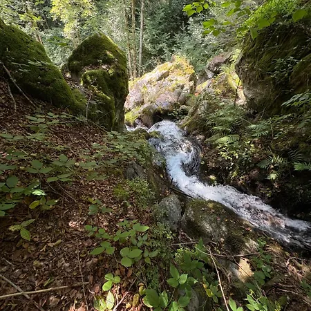 Le Domaine De Pairis-2